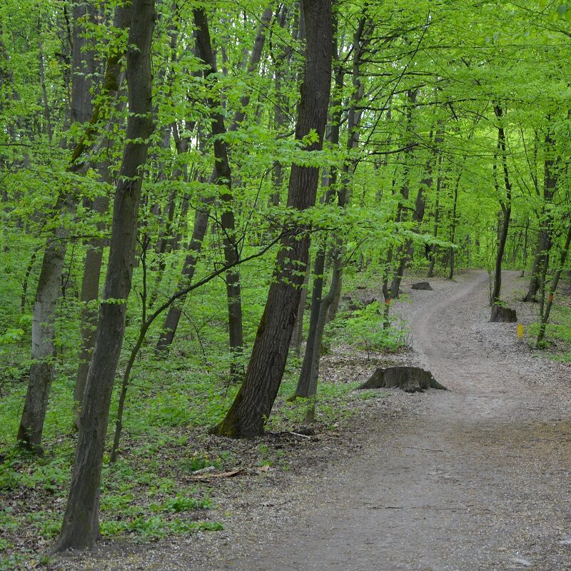 ekostezhka 3